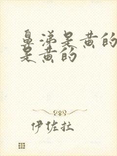 鼻涕是黄的痰也是黄的封面