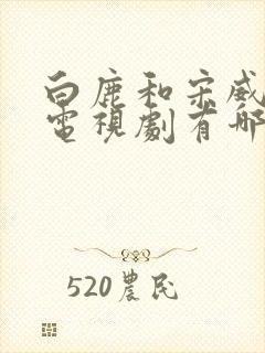 白鹿和宋威龙的电视剧有哪些