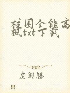 校园全能高手季枫txt下载