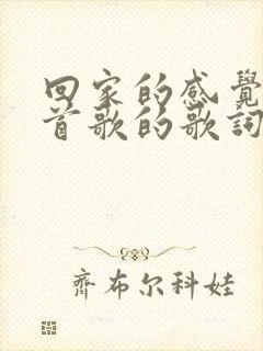 回家的感觉是哪首歌的歌词封面