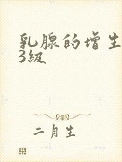 乳腺的增生结节3级