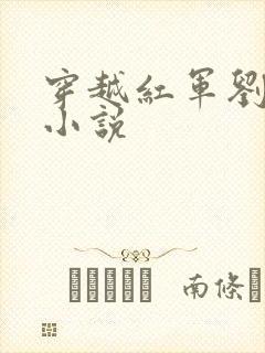 穿越红军刘夏的小说