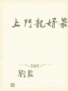 上门龙婿最新版