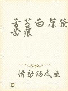 舌苔白厚发黄有齿痕