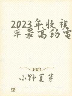 2023年收视率最高的电视剧