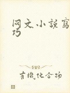 网文小说写作技巧封面