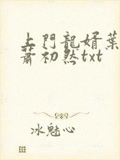 上门龙婿叶辰,萧初然txt