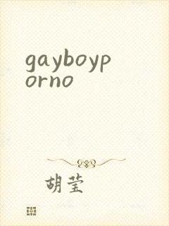 gayboyporno
