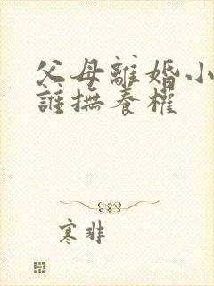 父母离婚小孩归谁抚养权