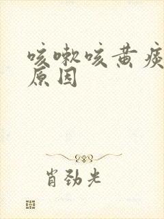 咳嗽咳黄痰什么原因