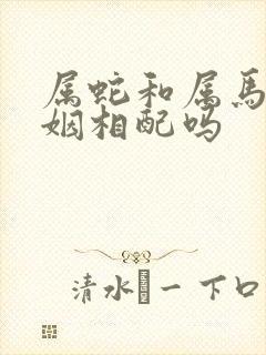 属蛇和属马的婚姻相配吗