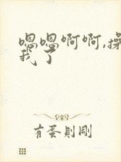 嗯嗯啊啊,操死我了封面