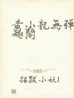 黄小龙无弹窗笔趣阁