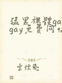 猛男裸体gaygay免费网站