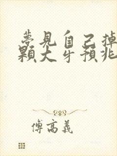 梦见自己掉了几颗大牙预兆着什么