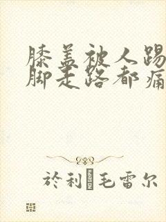 膝盖被人踢了一脚走路都痛怎么办封面