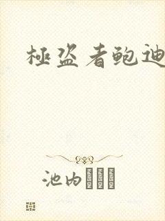 极盗者鲍迪结局