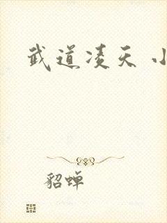 武道凌天 小说