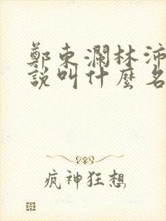 郑东澜林沛沛小说叫什么名字