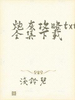 炮灰攻略txt全集下载封面