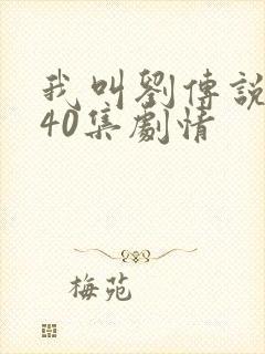 我叫刘传说1—40集剧情封面