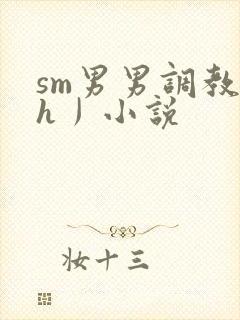 sm男男调教〈h丿小说