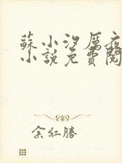 苏小汐厉夜霆的小说免费阅读