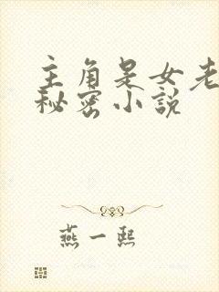 主角是女老师的秘密小说封面