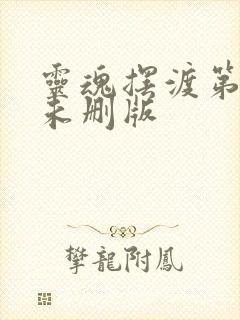 灵魂摆渡第三季未删版封面