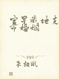 官星藏地支的女命婚姻封面