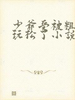 少爷受被粗汉H玩松了小说