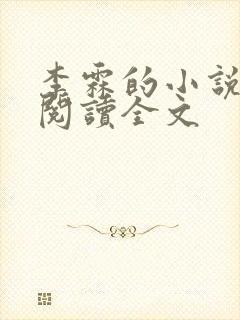 李霖的小说免费阅读全文