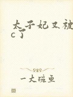 太子妃又被皇帝c了封面