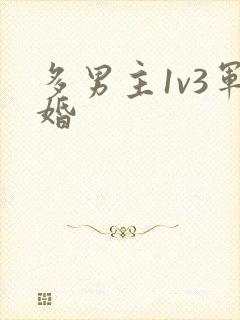 多男主1v3军婚