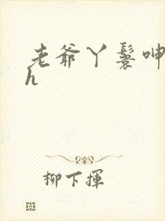 老爷丫鬟呻吟高h