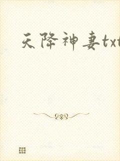 天降神妻txt