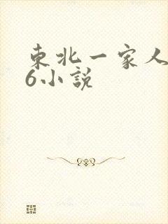东北一家人1一6小说