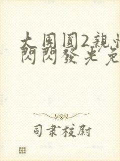 大团圆2亲情会闪闪发光免费封面