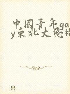 中国青年gary东北大飞机打桩