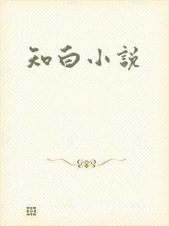 知白小说