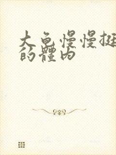 大龟慢慢挺进我的体内