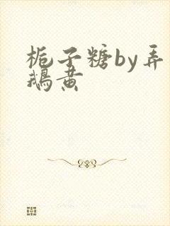 栀子糖by弄白鹅黄