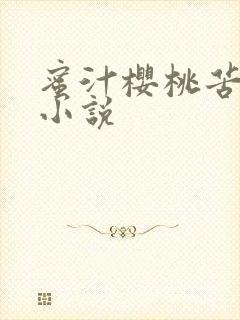 蜜汁樱桃苦咖啡小说