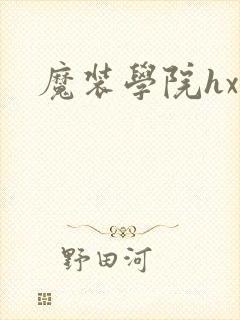魔装学院hxh