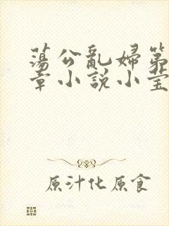 荡公乱妇第51章小说小莹