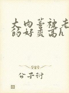 大肉蒂被老头嘬的好爽高h