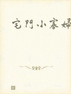 宅门小寡妇