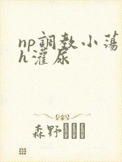 np调教小荡货h灌尿