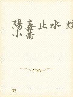 阳春止水 烟树小荞