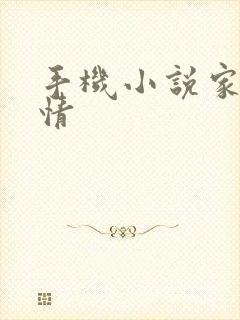 手机小说家的爱情